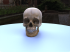 20220109_skull